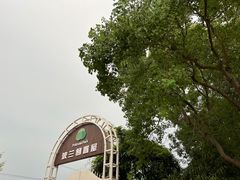 -金山农民画村-枫泾波兰倒置屋