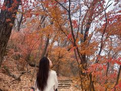 -九鼎铁刹山风景区