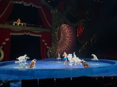 -珠海横琴长隆《卡卡虎奇遇记》