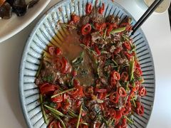 -樱㳊音乐餐酒吧