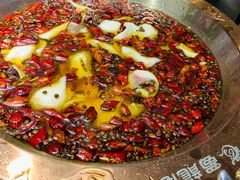 -雲蜀龙阁·金牌水煮鱼(方庄店)