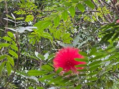 -白云山风景名胜区