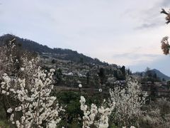 -樱桃山旅游景区