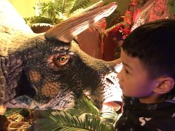 -恐龙探索乐园(磁器口店)