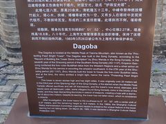 -上海佘山国家森林公园天马山园