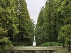 -黄海国家森林公园