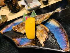 -鲤·鮨KOISUSHI