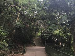 -南丫岛