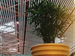 -首都机场t3-c国航两舱休息室