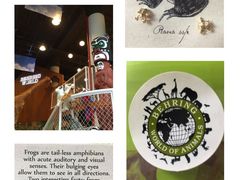 iphone_upload_pic-Behring World of Animals(上海自然博物馆店)