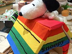 -帕帕拉兹宠物(亚洲旗舰店)