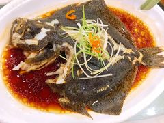 清蒸多宝鱼-江南村酒家