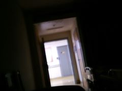 -上海市普陀区中心医院