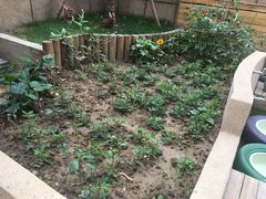 -英伦凯贝国际婴幼儿托育中心(雍湖湾店)