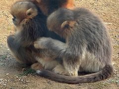 -杭州野生动物世界
