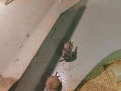 -正佳雨林生态植物园