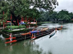 -荔湾湖公园
