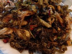 -锦江中华村农家乐饭庄