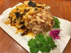 凉拌海螺-院落创意菜