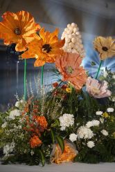 -明典婚礼策划·婚车租赁·婚纱摄影