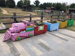 -田园东方蜜桃村的田野营地