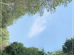 -火炉山森林公园