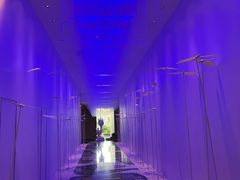 -许家菜.艺创菜(仁和新城店)