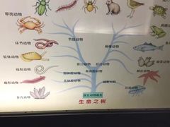 -上海昆虫博物馆