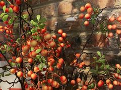 -湘邻呷铺·田园家宴(汉基广场店)