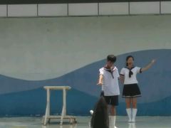 -北戴河圣蓝海洋公园