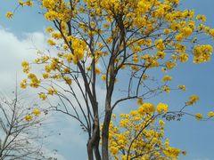 -映月湖公园