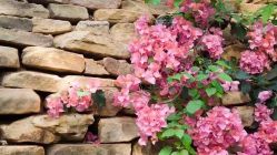 -艾尚灸头道汤养生馆