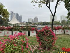 -文华公园(禅城区)