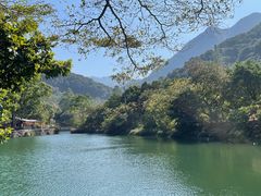 -羚羊峡古栈道森林公园