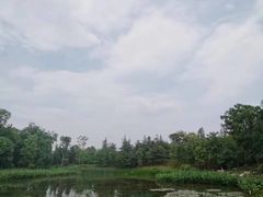 -白鹭湾湿地公园