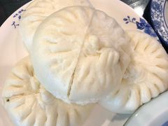 -鸿恩陶然大观园