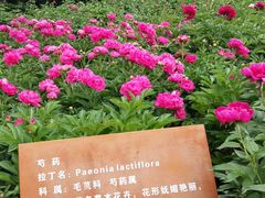 -来小酌·长安酒家(翠庭大厦店)