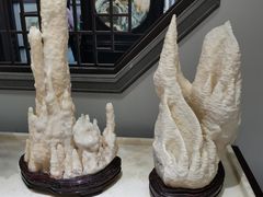 -游龙石文化科普馆