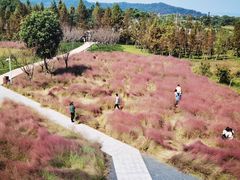 -下渚湖国家湿地公园科普馆