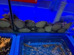 -小龍鳳·港式海鲜打边炉(沙湖路店)