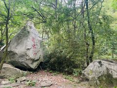 -少华山国家森林公园