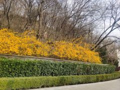 -大连植物园