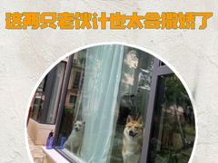 -金牛万达广场
