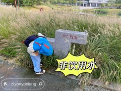 -王借岗森林公园