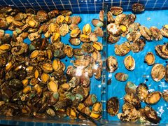 -蓝钻·国际美食海鲜自助百汇(西直门店)