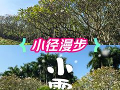 -金花茶公园