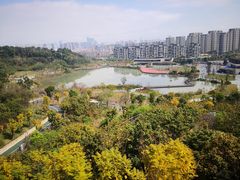-飞凤山奥体公园
