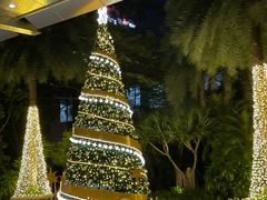 -广州富力丽思卡尔顿酒店