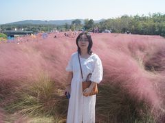 -金孔雀温泉旅游度假村