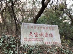 -紫金山天文台